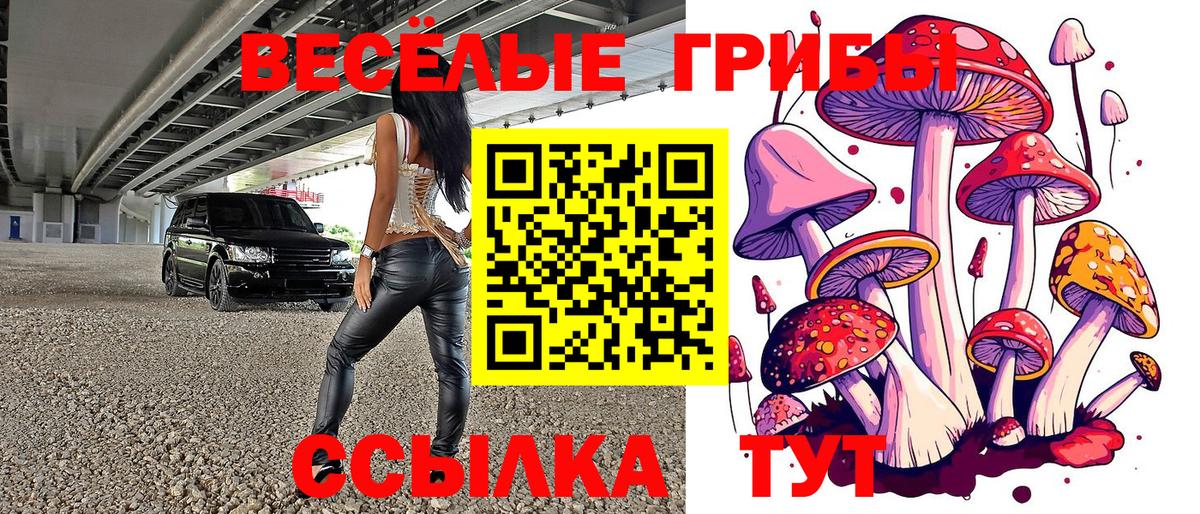 Родники  Псилоцибиновые грибы Magic Shrooms  Вход с VPN  Галлюциногенные грибы мицелий 