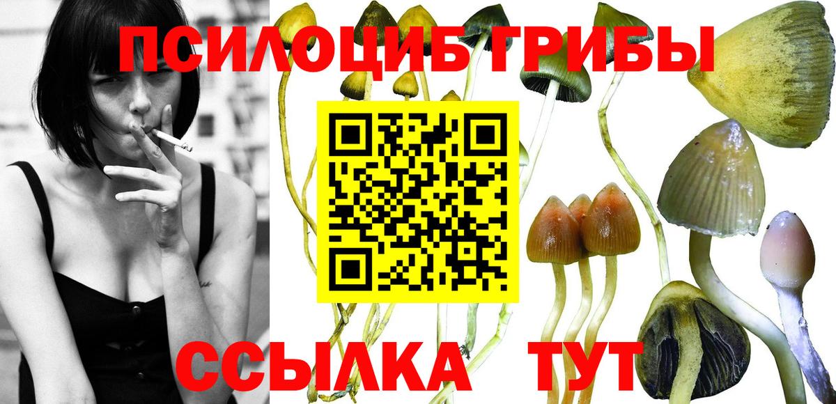 Галлюциногенные грибы Cubensis Родники