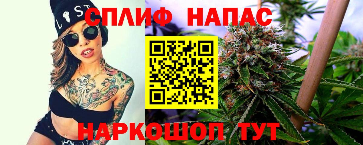 Бошки марихуана ГИДРОПОН  Вход с VPN  Канабис Bruce Banner  Родники  Шишки марихуана SATIVA & INDICA  Каннабис планчик 